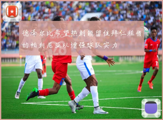 德泽尔比希望热刺能留住拜仁租借的帕利尼亚以增强球队实力