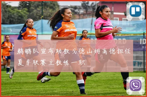 鹈鹕队宣布助教戈德山姆高德担任夏季联赛主教练一职